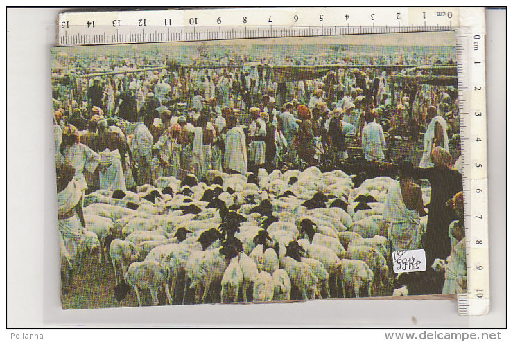 PO9947B# ARABIA SAUDITA - K.S.A. - THE SACRIFICE AT MINA  VG 1979 - Saudi Arabia