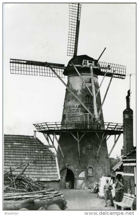 WINSCHOTEN (Groningen) - Molen/moulin - Verdwenen Korenmolen L' Esperance In 1956, Vijf Jaar Voor De Afbraak - Winschoten