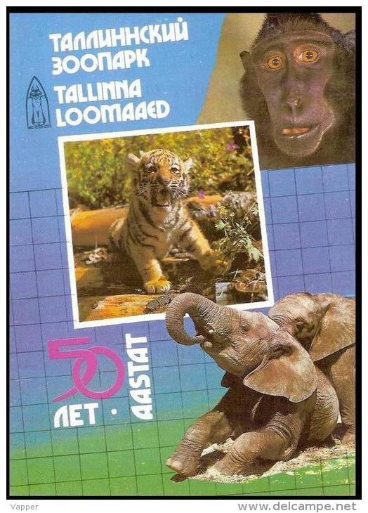 Tallinn Zoo 50 Anniversary Tiger Monkey Elephant USSR 1989 Postal Stationary Card - Tiger