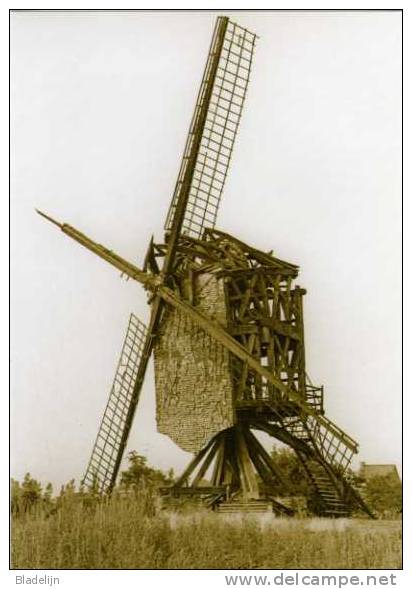 SCHRIEK ~ Heist-op-den-Berg (Antw.) - Molen/moulin - Houten Molen ´De Grote Bels´ Kort Voor De Instorting (1967) - Heist-op-den-Berg