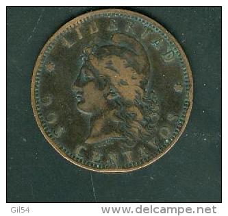 ARGENTINE - 2 Centavos 1889 [TB] Bronze   - Pia5103 - Argentine