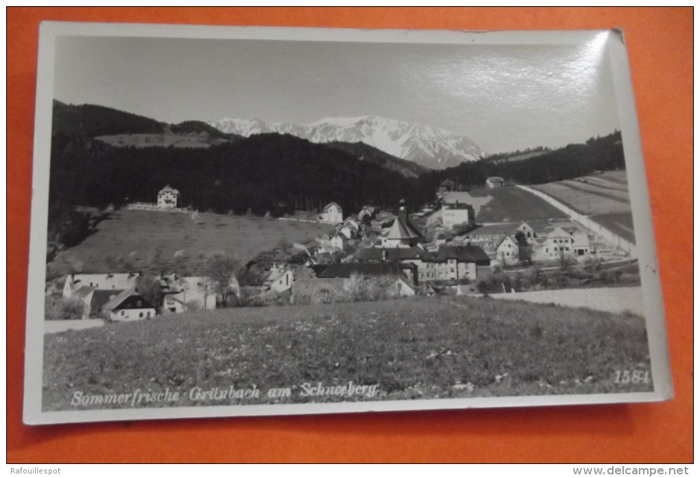 Cp  Sommerfrische Grunbach Am Schneeberg - Schneeberggebiet