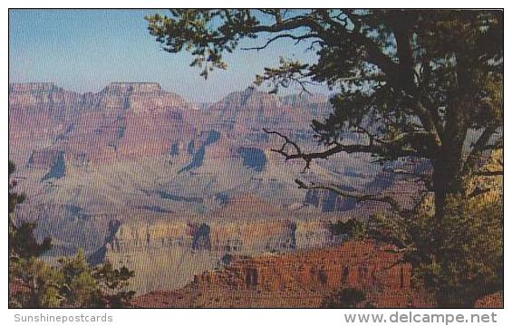 Arizona Grand Canyon Of Northern Arizona - Grand Canyon