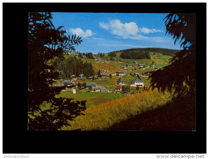 TODTNAUBERG Im Hochschwarzwald  X2 General View - Todtnau