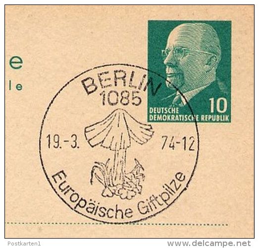 RED STAINING INOCYBE 1974 On East German Postal Card P 75 - Hongos