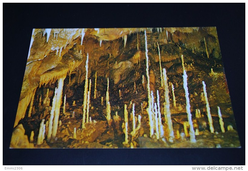 Attendorner Tropfensteinhöhle  /  Kerzenhalle  ( 10 ) - Attendorn