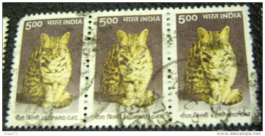 India 2000 Leopard Cat 5.00 X3 - Used - Gebruikt