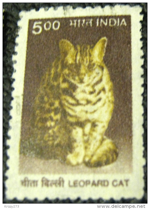 India 2000 Leopard Cat 5.00 - Used - Used Stamps