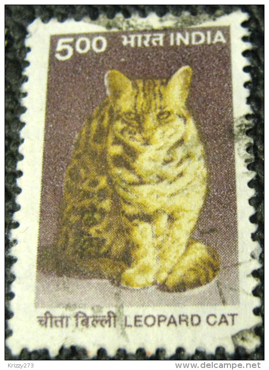 India 2000 Leopard Cat 5.00 - Used - Oblitérés