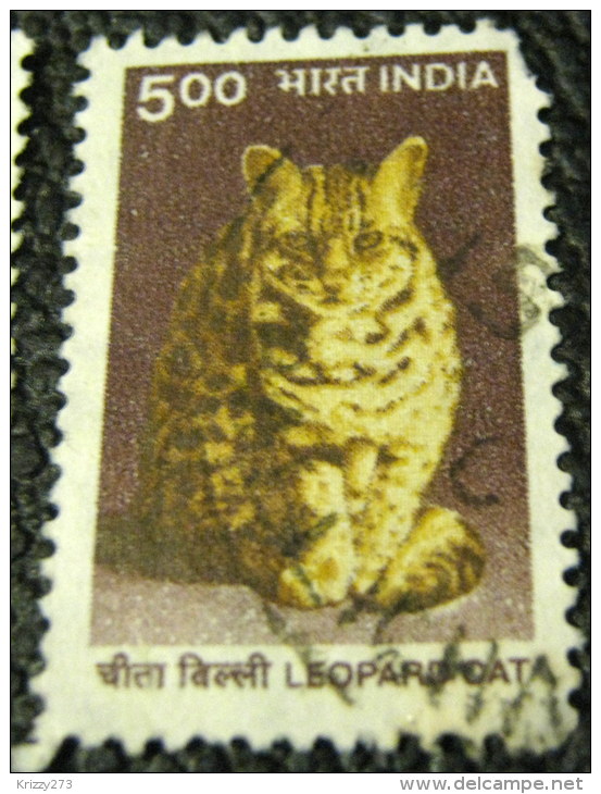 India 2000 Leopard Cat 5.00 - Used - Oblitérés