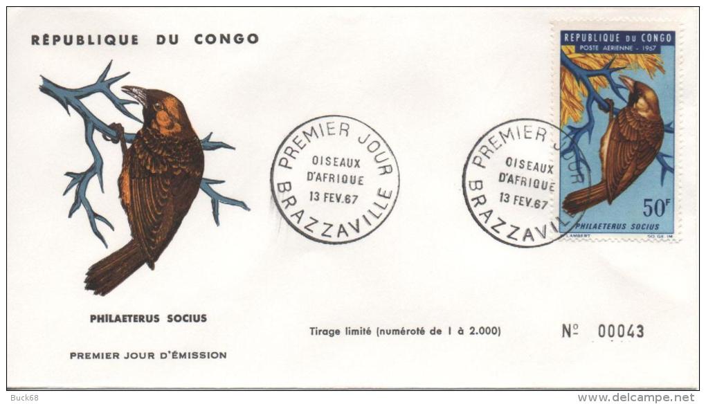 CONGO PA 47 FDC Oiseau Bird Vogel : Philaeterus Socius N°43/2000 - FDC