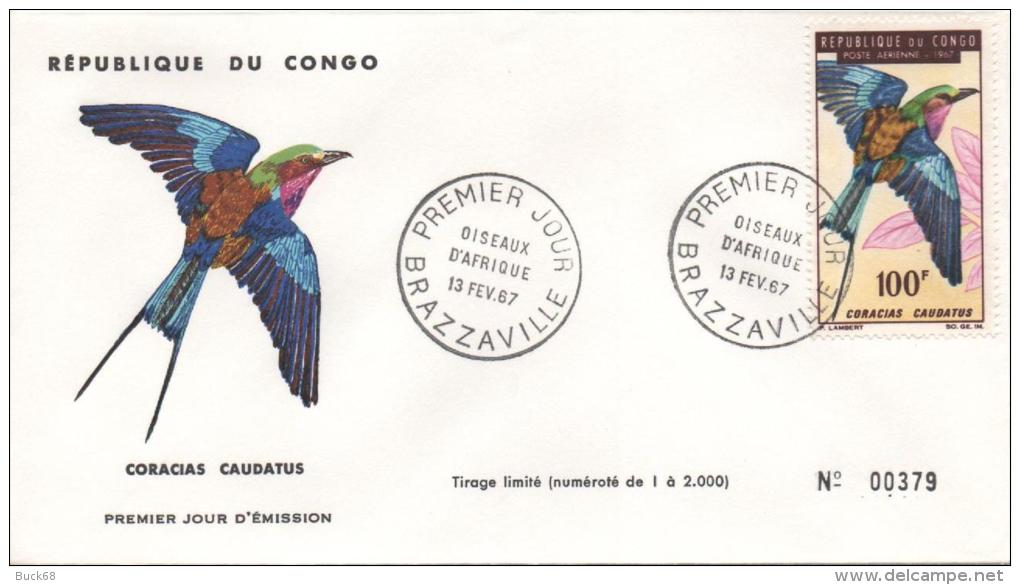 CONGO PA 49 FDC Oiseau Bird Vogel : Coracias Caudatus  N°379/2000 - FDC