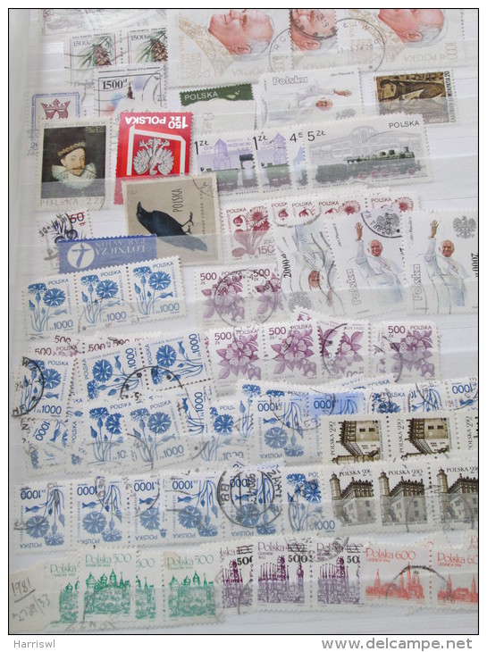 POLAND DUPLICATED STAMP CIOLLECTION - Collections