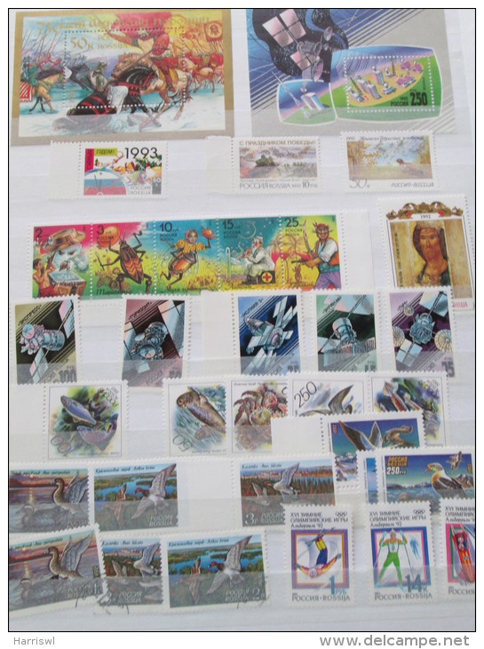 RUSSIA STAMP SELECTION INCLUDES BELARIUS AND LATVIA - Collections