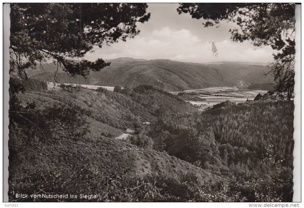 5220 WALDBRÖL, Blick Vom Nutscheid Ins Siegtal, 195.. - Waldbroel