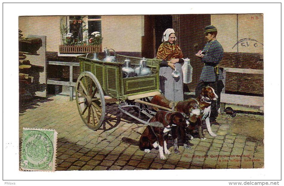 BELGIQUE/Voiture à Chiens/Contravention Dressée à Une Laitière Flamande/Réf:4371 - Collections & Lots