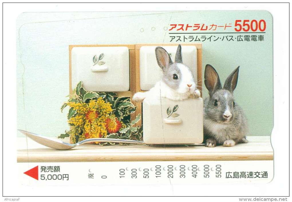 JAPON  LAPIN - Lapins