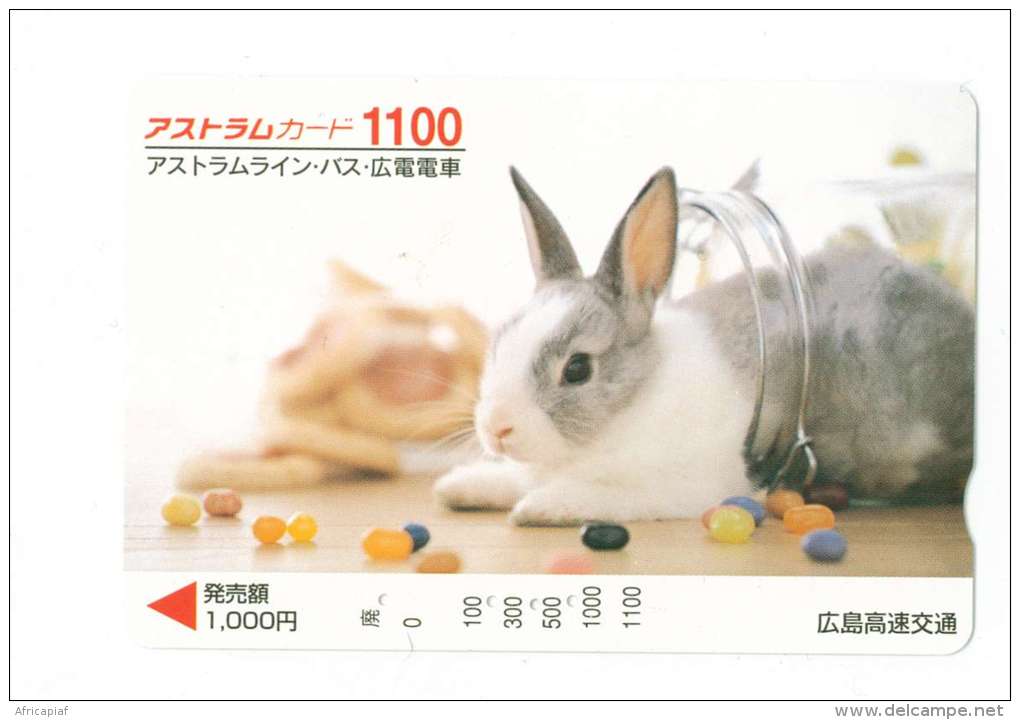 JAPON  LAPIN - Lapins