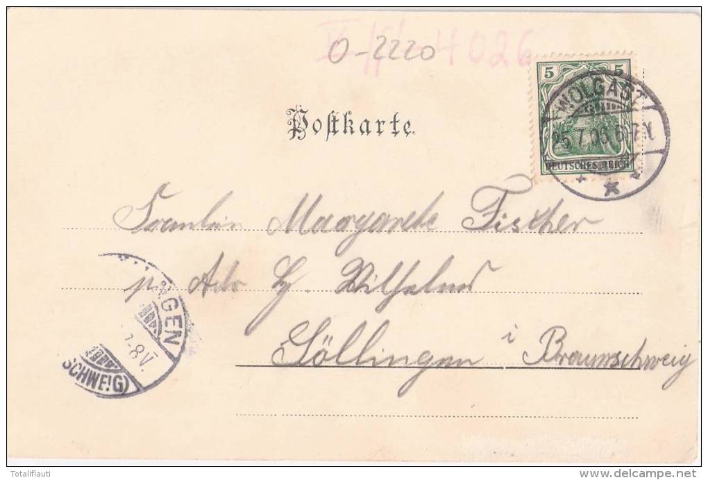 Wolgast Wilhelmsschule Belebt 25.7.1905 Gelaufen - Wolgast