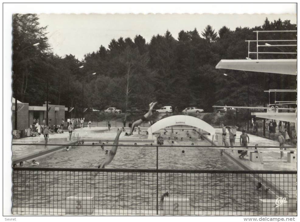 La Piscine Et Les Plongeurs. - BAGNOLES De L'ORNE.  CPM Dentelée - Swimming