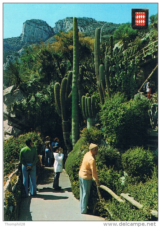 MONACO - MONTE-CARLO - Le Jardin Exotique De Monaco - Animation, Nombreux Touristes Devant Les Cactus - Neuve, 2 Scans - Jardin Exotique