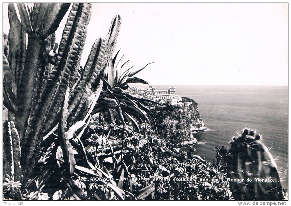 MONACO - Un Coin Des Jardins Exotiques , Vue Sur Le Rocher De Monaco - Circulée En 1953, 2 Scans - Exotische Tuin