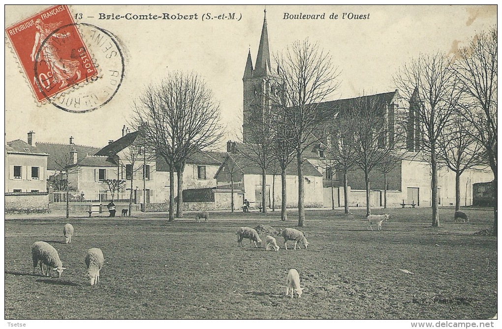 Brie-Comte-Robert - Boulevard De L'Ouest --Moutons Pâturant - 1907 ( Voir Verso ) - Brie Comte Robert