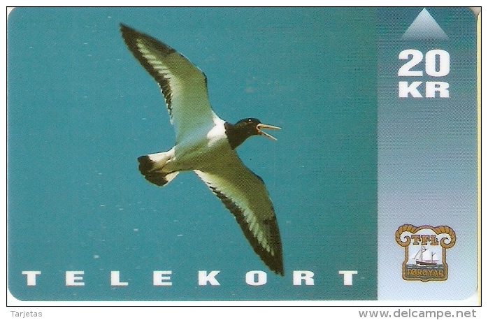 TARJETA  DE FEROE DE UN OSTRERO  (BIRD-PAJARO) - Faroe Islands