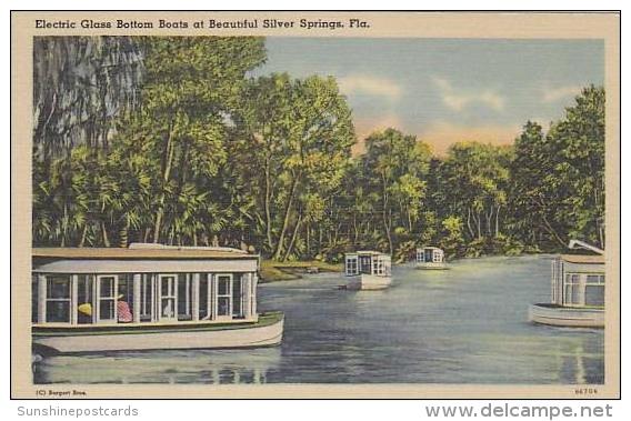 Florida Silver Springs Electric Glass Bottom Boats At Beautiful Silver Springs - Silver Springs
