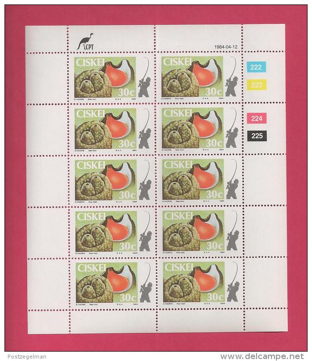 CISKEI, 1984, MNH Stamp(s) In Full Sheets, Fish Bait, Nr(s) 57-60, Scan S911 - Ciskei