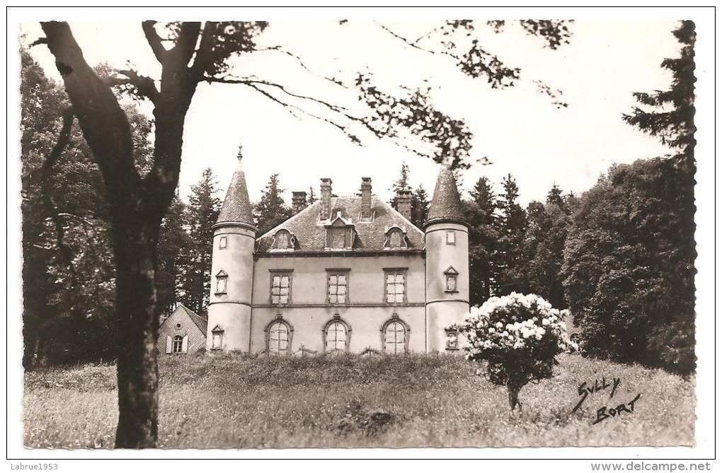 La Tour D'Auvergne-Le Château Du Mesnil(Réf.5051) - Autres & Non Classés