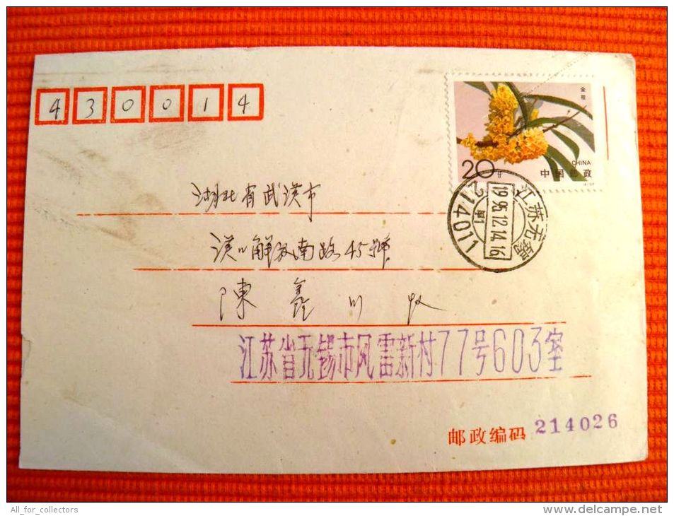 Cover Sent From China 1995 Flora - Covers & Documents