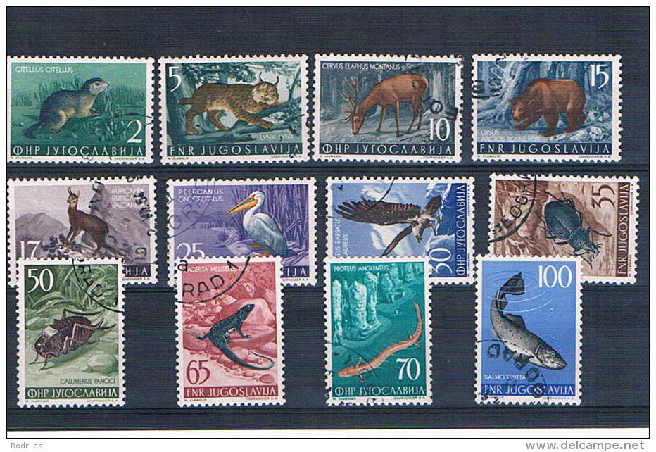 Yugoslavia. Serie De Fauna . Ivert  643/54 Us. Valor De Catalogo 75 Euros - Used Stamps