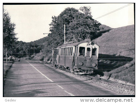 Chemin De Fer Schaffhouse, Train Près De Siblingen, Photo 1964 BVA  StSS 14.6 - Schaffhouse