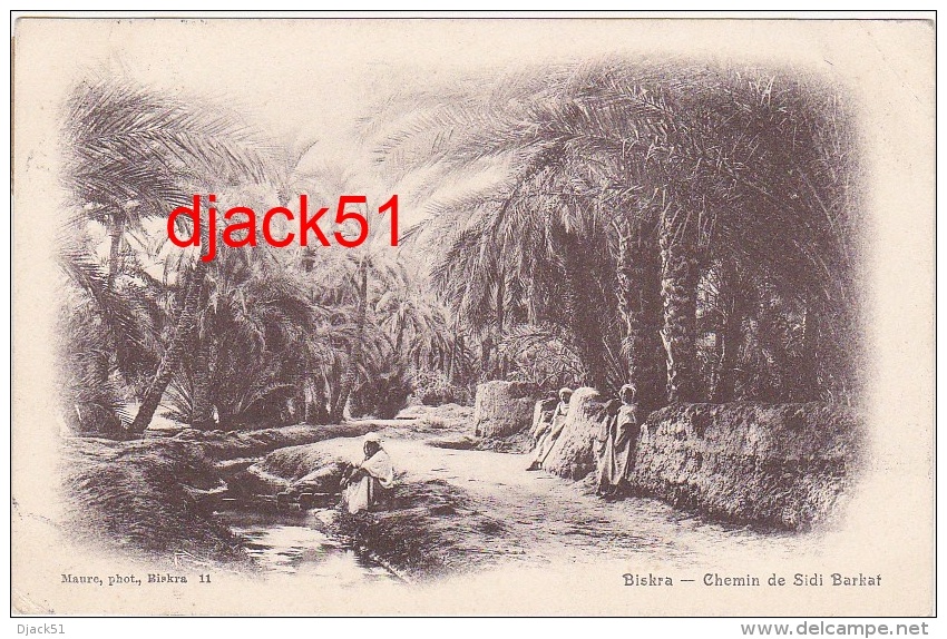 BISKRA (Algérie) - Chemin De Sidi Barkat - 1909 - Biskra