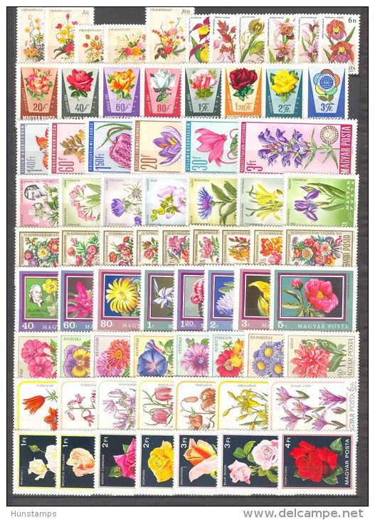 Hungary 1962-1989. Flowers Stamp Collection With Betters, 10 Complete Sets MNH (**) - Sammlungen