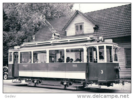 Chemin De Fer RhSt, Train à Heerbrugg, Photo 1953 BVA RhSt 16 - Autres & Non Classés