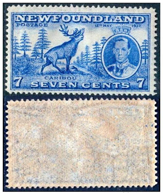 NEWFOUNDLAND 1937 KGVI & Caribou 7c. Bright Ultramarine, Perf. 14, VF MNH - 1908-1947