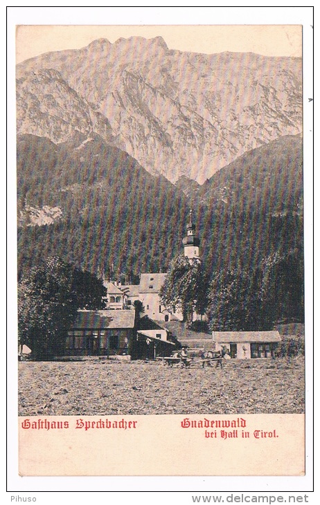 Ö-1610   GNADENWALD : Gasthaus Speckbacher - Hall In Tirol