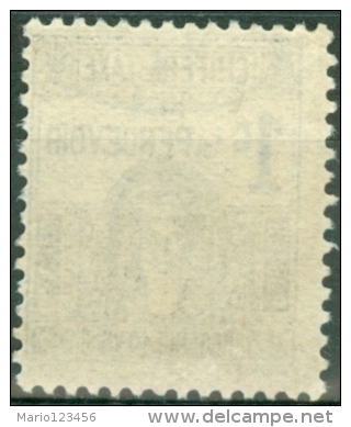 TUNISIA, PROTETTORATO FRANCESE, FRENCH PROTECTORATE, SEGNATASSE, 1923,  NUOVO (MNG), Mi P37, Scott J12, YT T37 - Neufs