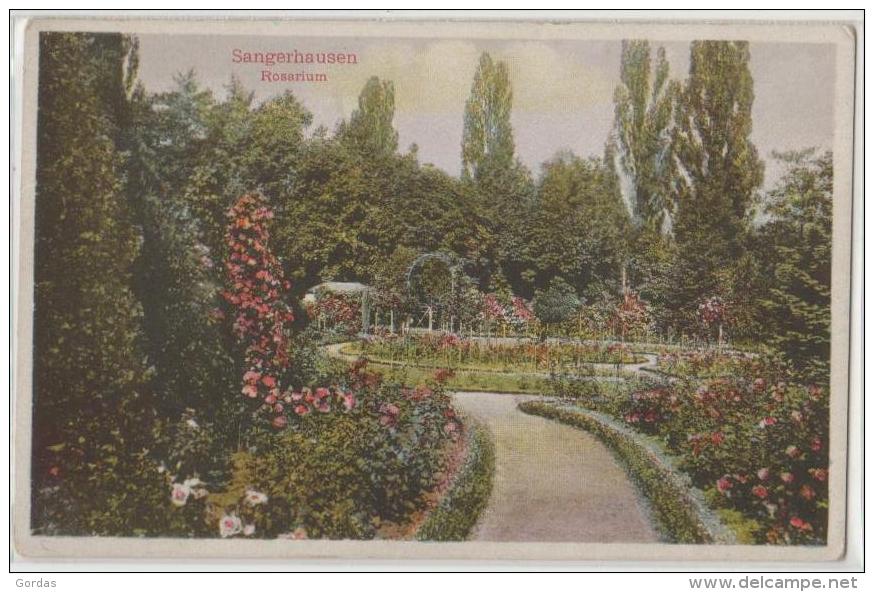 Germany - Sangerhausen - Rosarium - Sangerhausen