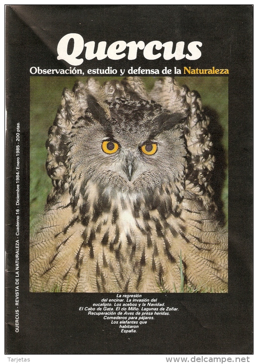 REVISTAS DE QUERCUS TEMAS DE NATURALEZA A 2 EUROS CADA UNA (ECOLOGIA) - [3] 1991-…