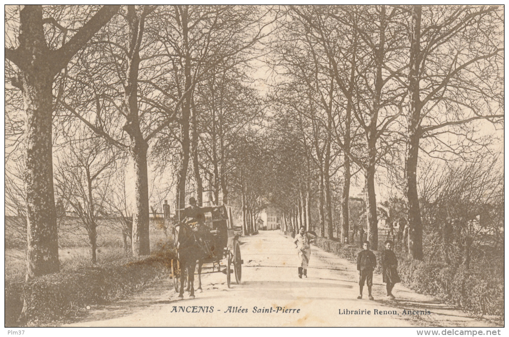 ANCENIS - Allées Saint Pierre - Ancenis