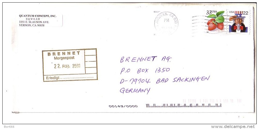 GOOD USA Postal Cover To ESTONIA 2000 - Good Stamped: Strawberry ; Sam - Storia Postale