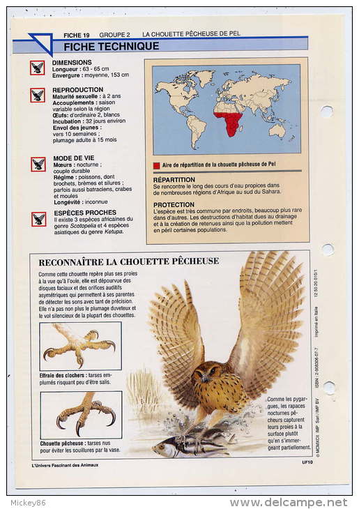 Fiche Double--La Chouette Pêcheuse De PEL-- Oiseau Fiche Illustrée Documentée --format  170mm X 240 Mm - Animals