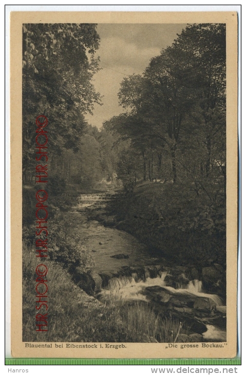 Blauental Bei Eibenstock I. Erzgeb.  Die Grosse Bockau Um 1910/1920, Verlag: Wilhelm Vogel, Schwarzenberg - Eibenstock