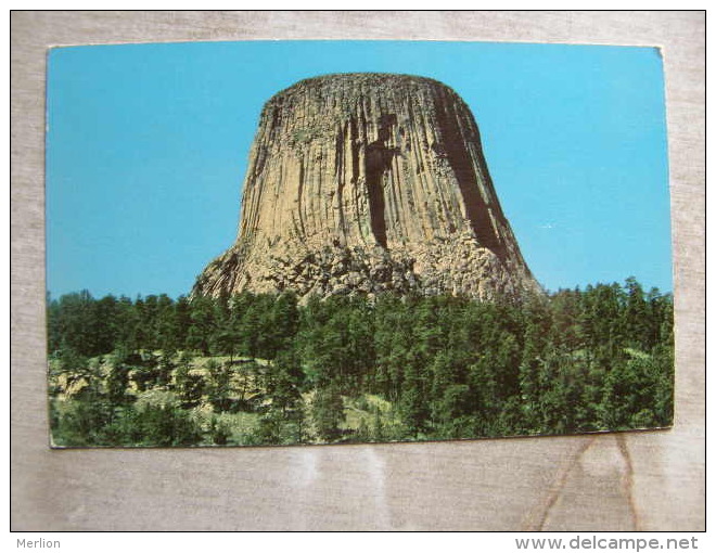 USA  South Dakota -Devil's Tower - Black Hills        D105722 - Other & Unclassified