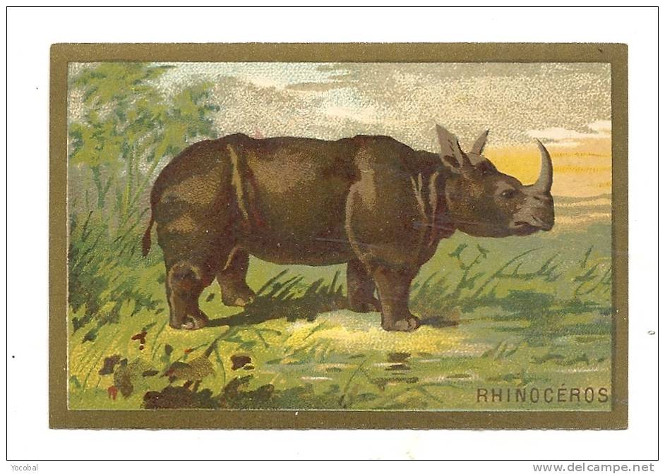 Chromos,  Le Rhinocéros - Other & Unclassified