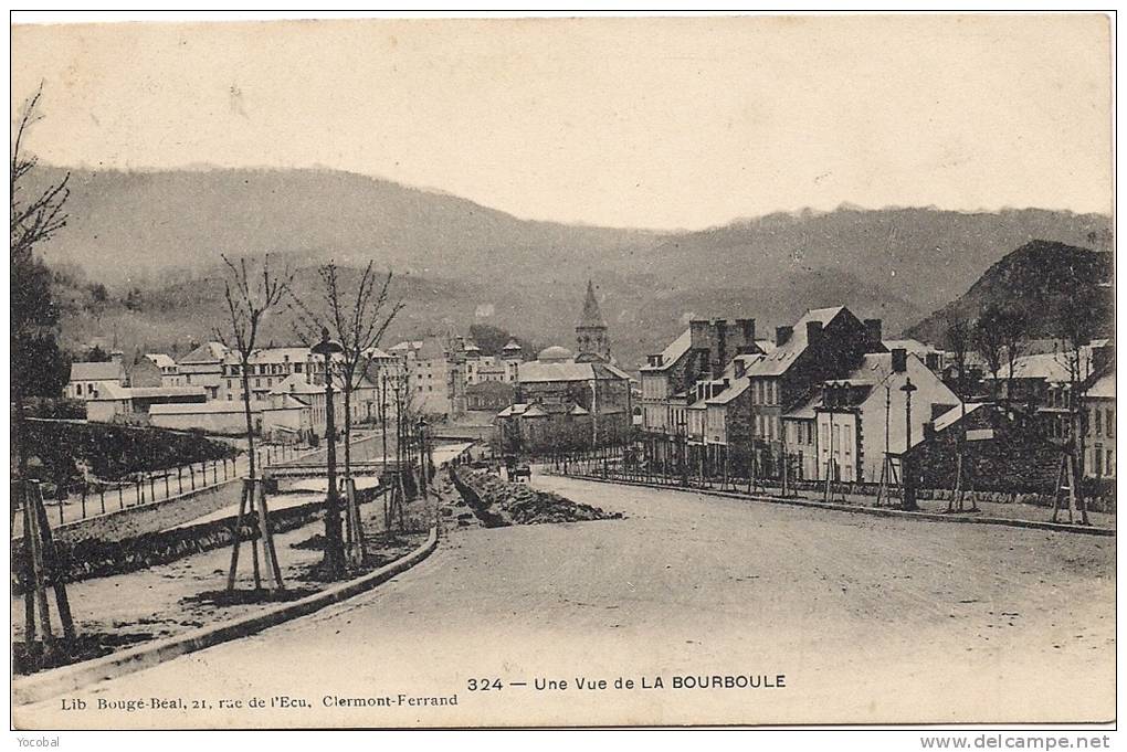 Cp , 63 , LA BOURBOULE , Une Vue - La Bourboule