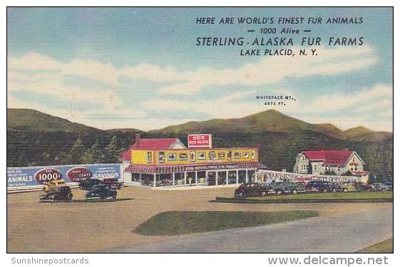 New York Lake Placid Sterling Alaska Fur Farms - Adirondack